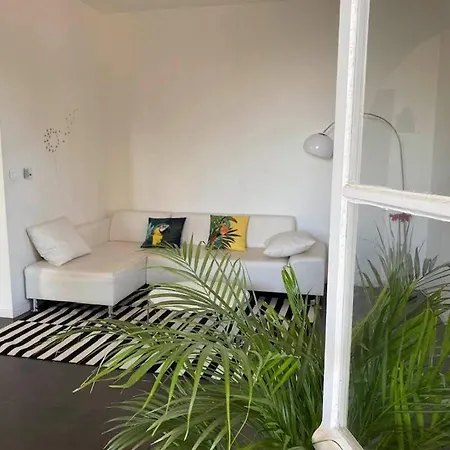 Bas De Villa, 90 M2, Terrasse, Jardin Apartamento